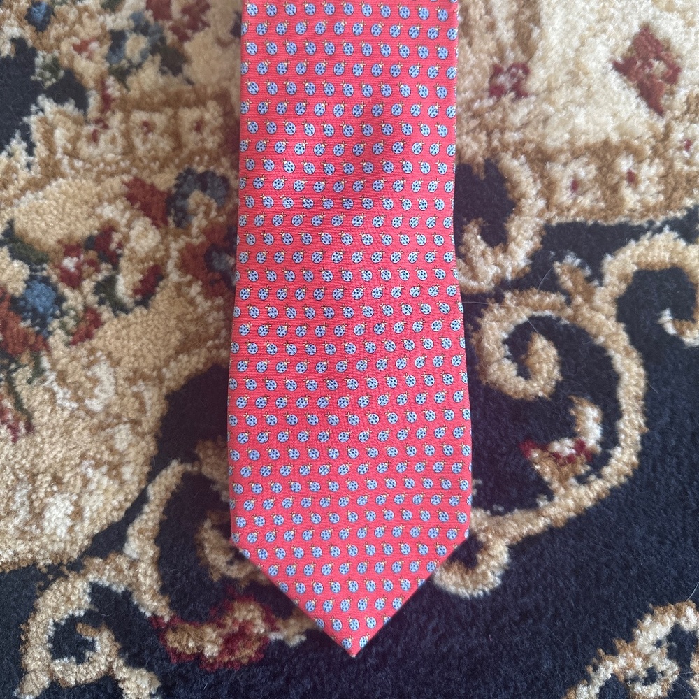 Brooks Brothers tie (gently worn)